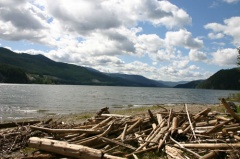 Log Jam