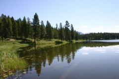 North Star Shoreline