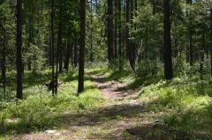 Hiking Trail