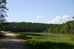 Gravel Road