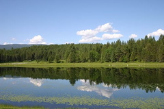 Wapiti Lake