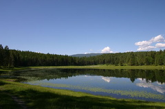 Views of Wapiti Lake