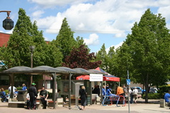Bus Stop