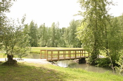 Foot Bridge