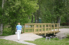 Out For A Walk