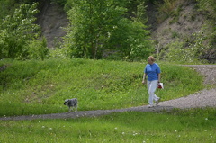 Dog Walking