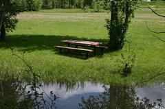 Picnic Table