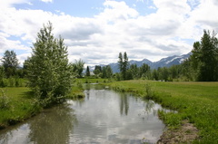Creek