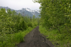Hiking Trail