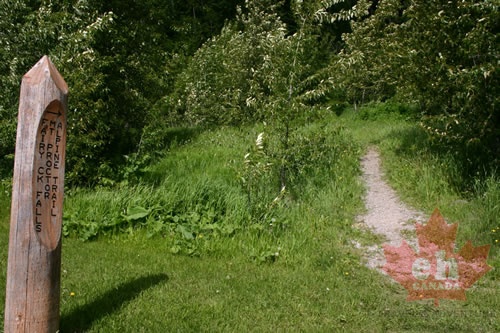 trail 001.jpg
