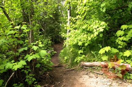 Hiking Trail