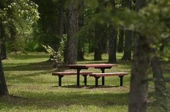 Picnic Table