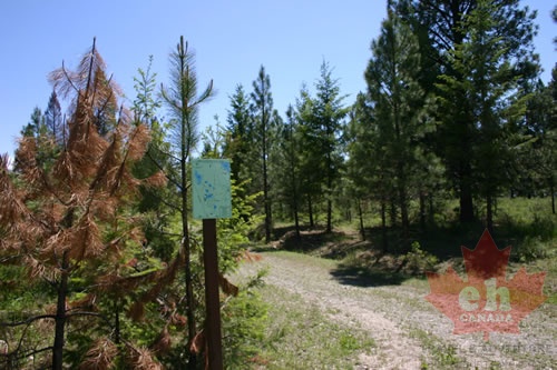 Trailhead Sign