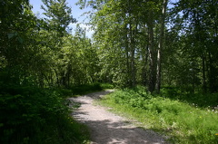 Hiking Trail