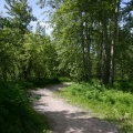 Hiking Trail