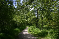 Hiking Trail