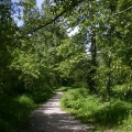Hiking Trail