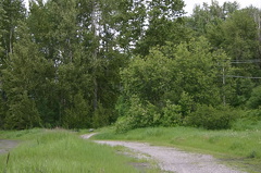 Hiking Trail