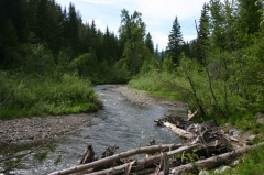 Lizard Creek
