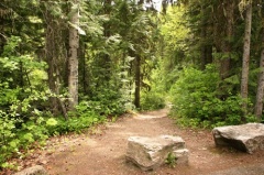 Hiking Trail