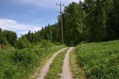 Access Road