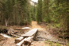 Foot Bridge