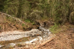 Run Off Creek
