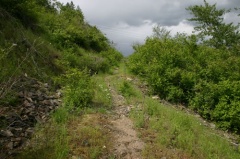 Hiking Trail