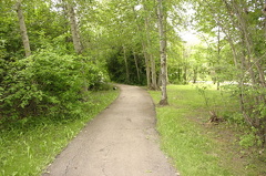 Walking Path