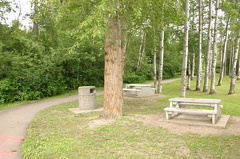 Picnic Table