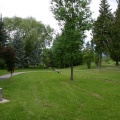 Grass Lawns