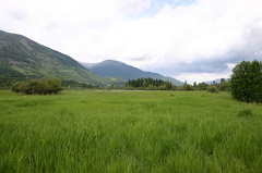 Grasslands