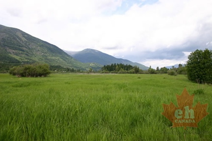 Grasslands