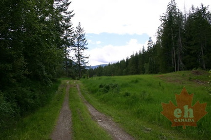 Hiking Trail