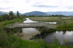 Foot Bridge