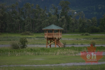 Lookout Tower