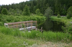 Pond