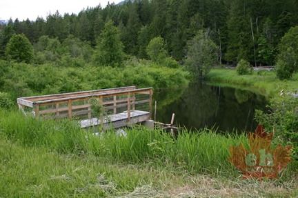 Pond