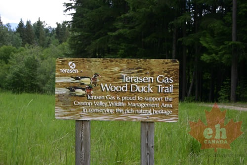 Trailhead Sign for Wood Duck Trail