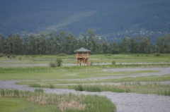 Lookout Tower