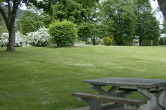 Picnic Table