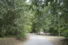 Park Roads