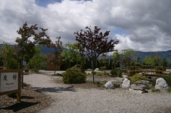 Friendship Gardens