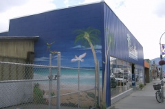 Building Mural