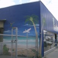 Building Mural