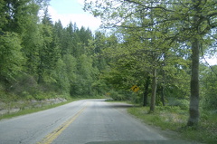 Backcountry Roads