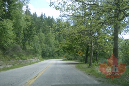 Backcountry Roads
