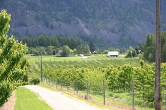 Orchard Fields in Erickson