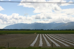 Farm Fields
