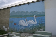 Swan Mural